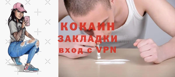 ПСИЛОЦИБИНОВЫЕ ГРИБЫ Сосновка