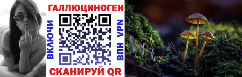 Галлюциногенные грибы Psilocybe Снежинск
