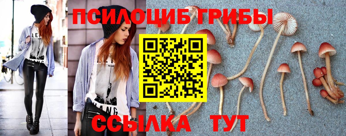Псилоцибиновые грибы GOLDEN TEACHER Снежинск