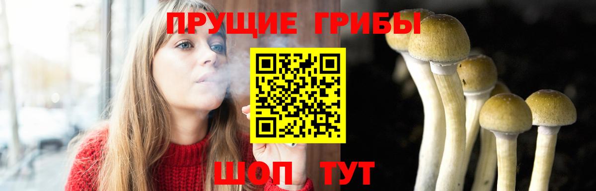 Псилоцибиновые грибы GOLDEN TEACHER  Галлюциногенные грибы GOLDEN TEACHER  Вход с VPN  Снежинск 